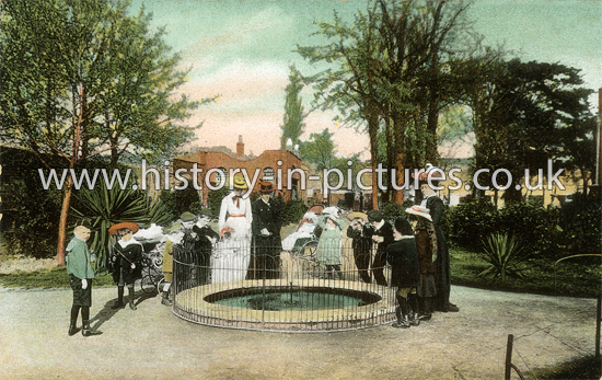 Walpole Park, Ealing, London. c.1907
